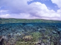 2018_05_Halmahera_3797