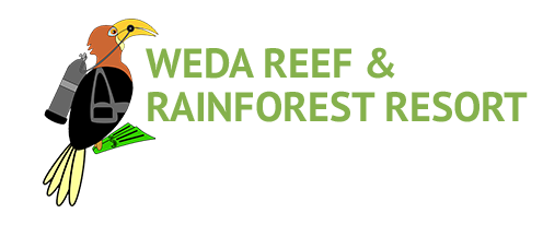 Weda Reef & Rainforest Resort