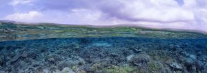 Halmahera, South Halmahera, Northern Molucca, Nord Molukken, Weda Bay Resort,